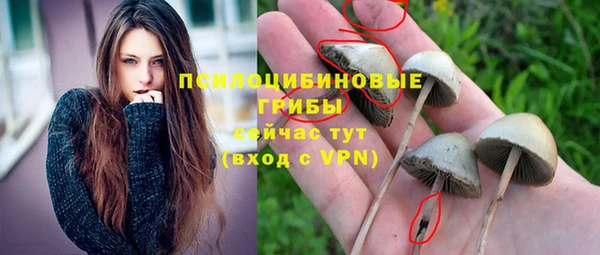 соль ск Абинск