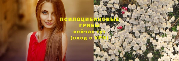 ALPHA PVP Алзамай